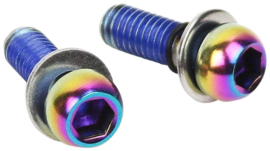 SRAM Caliper Mounting Hardware Direct and Standard Mount - Stainless Rainbow Bolts
