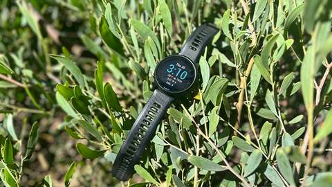 Why The Garmin Forerunner Is The Best Smartwatch For Mountain Biking [Employee Review]