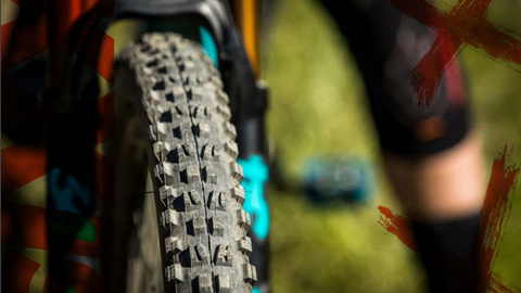 Maxxis Minion DHF - 20 Year Anniversary (Limited Edition)