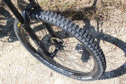 Maxxis Minion DHF:  Rider Review