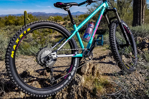 Maxxis Minion DHF and DHRII Tires: Rider Review