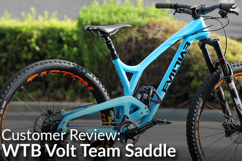 WTB Volt Team Saddle: Customer Review