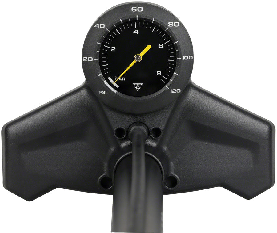 Topeak clearance pump mount