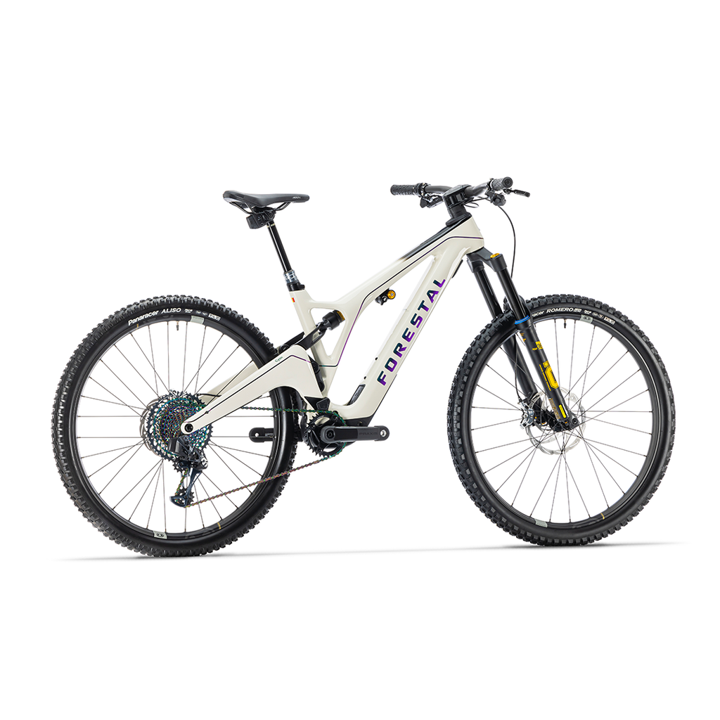 Forestal Cyon Complete Bike w/ Diode Build, Medium, Crayon Grey MPN: F2.2150302.33 E-Mountain Bike Cyon