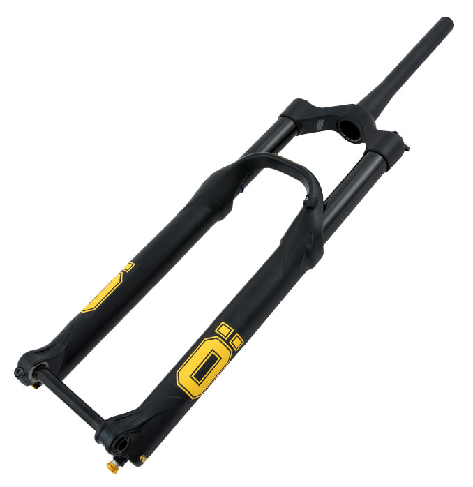 Ohlins 38 fork online